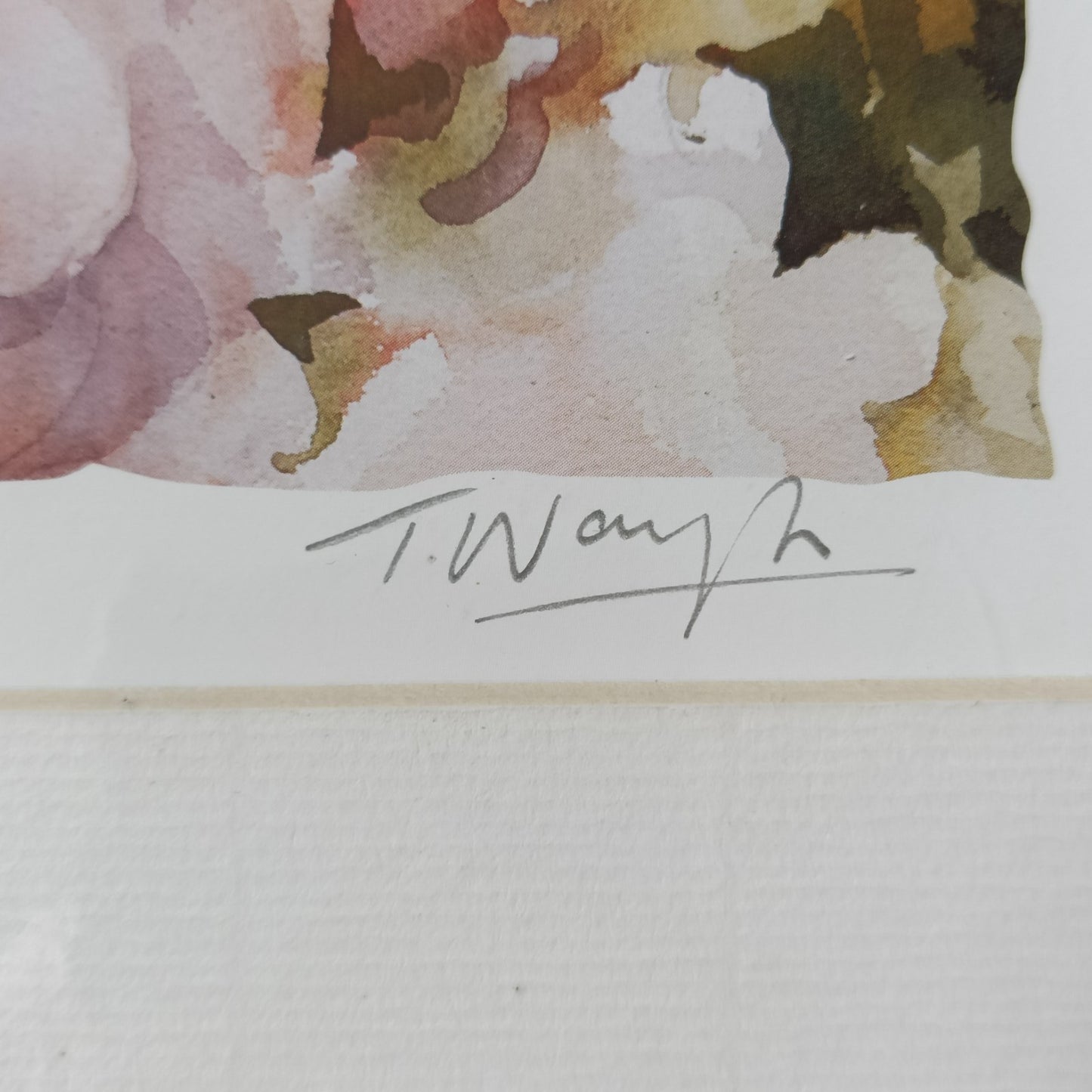 Trevor Waugh Roses Watercolour Prints, Set of 2, Signed