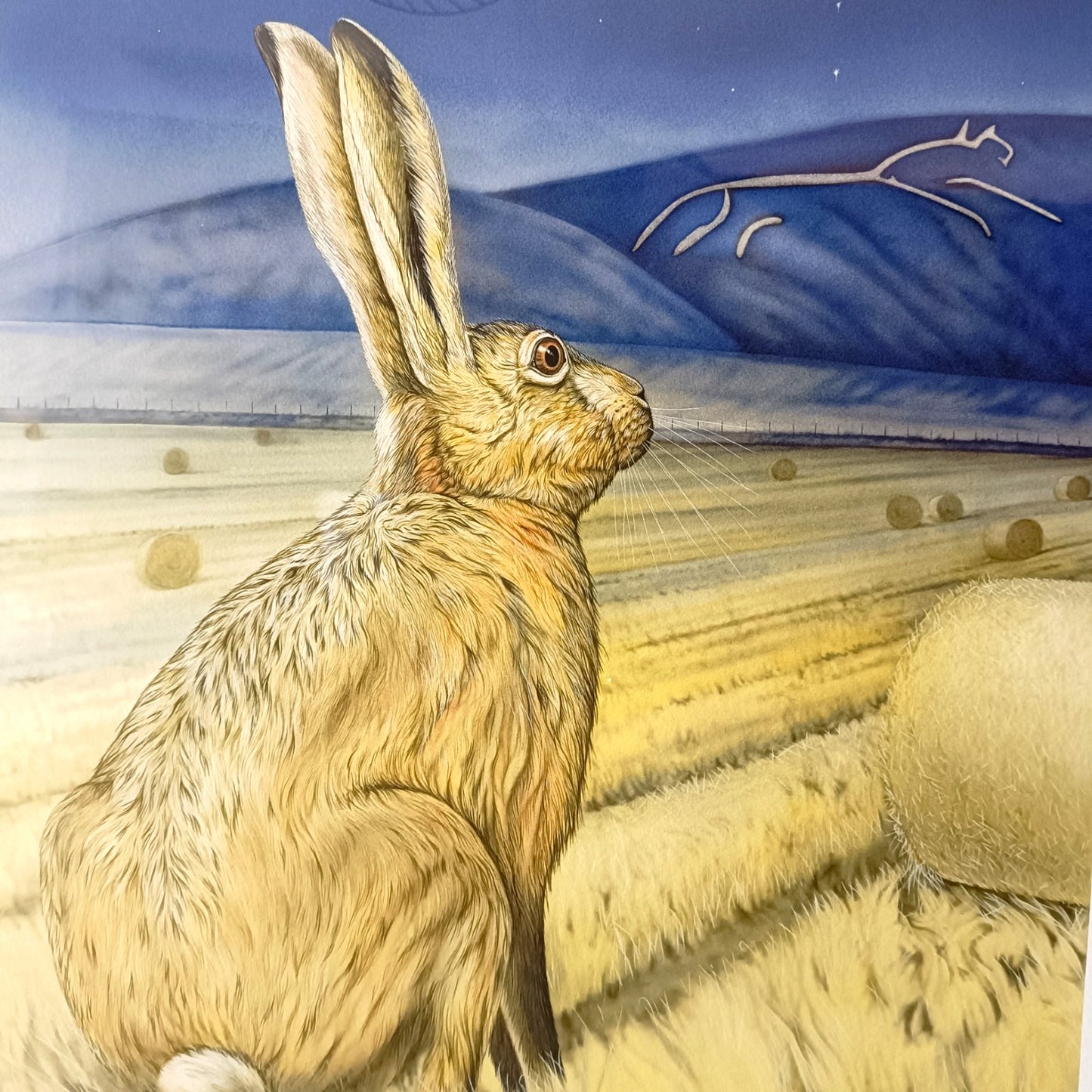 JOANNA MAY Signed Limited Edition "Star gazing Hare" 23/250