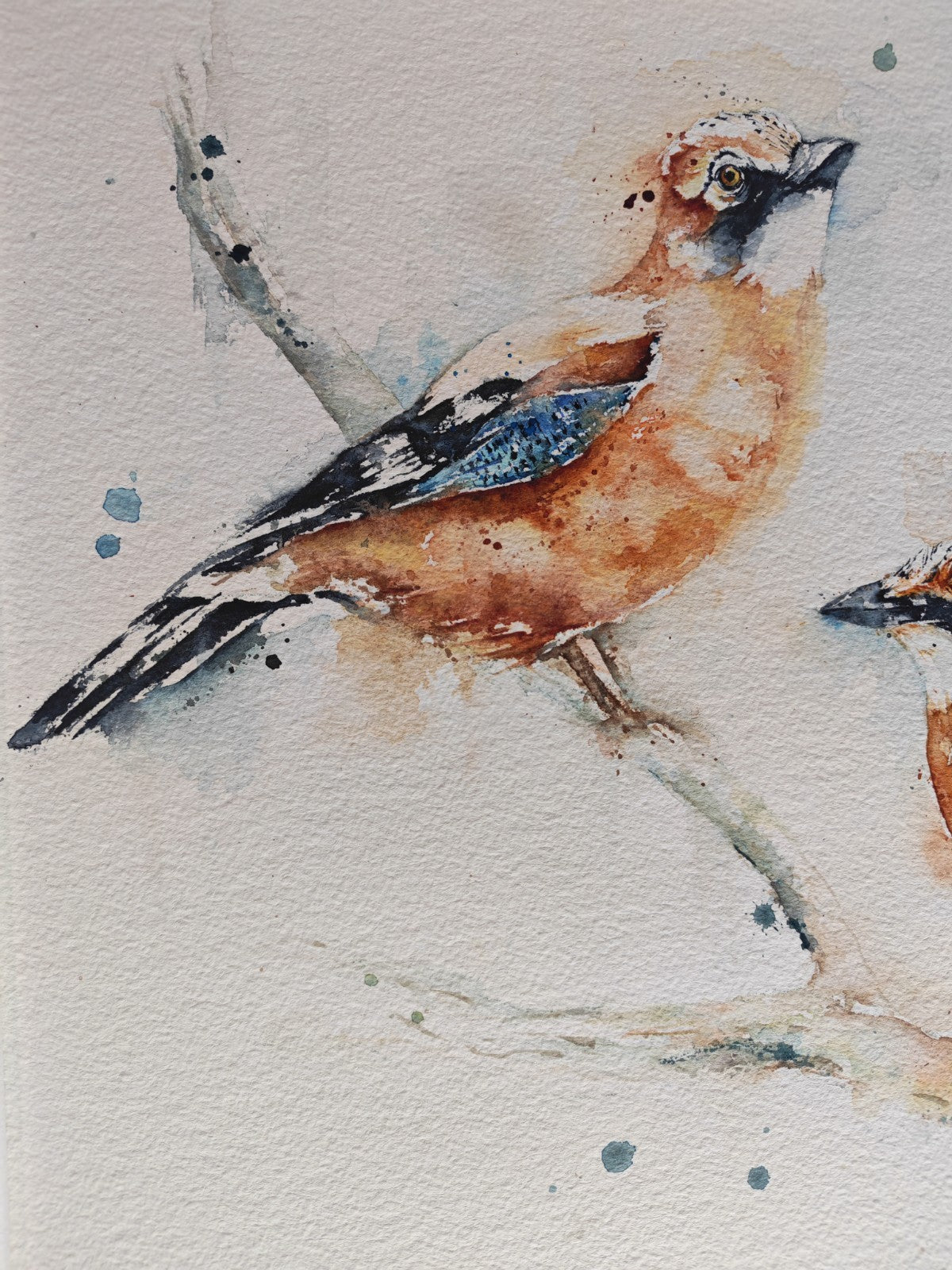 AMANDA GORDON "Jewels of the wood - Two Jays" Original Watercolour Painting