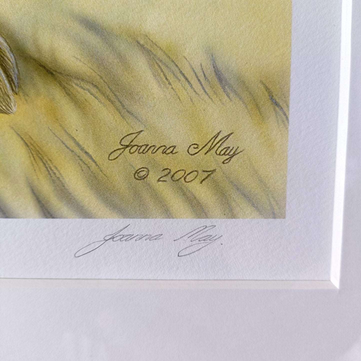 JOANNA MAY Signed Limited Edition "Broadtown Hare" 4/250
