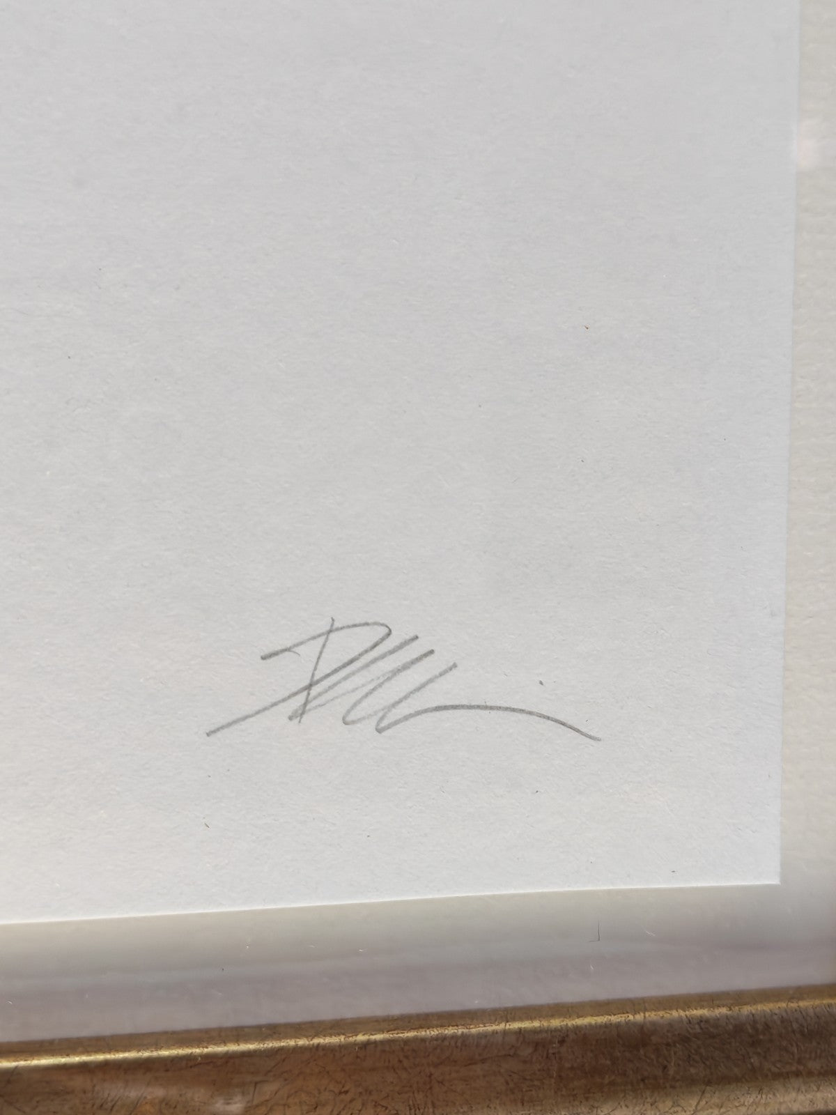 ALESSANDRO PAGLIA Framed Signed Limited Edition "Heart of Gold" 70/195