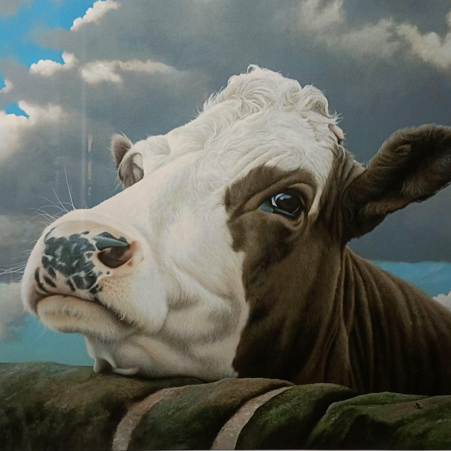 PAUL JAMES Large Framed Signed Limited Edition Print "Adrian" 190/195