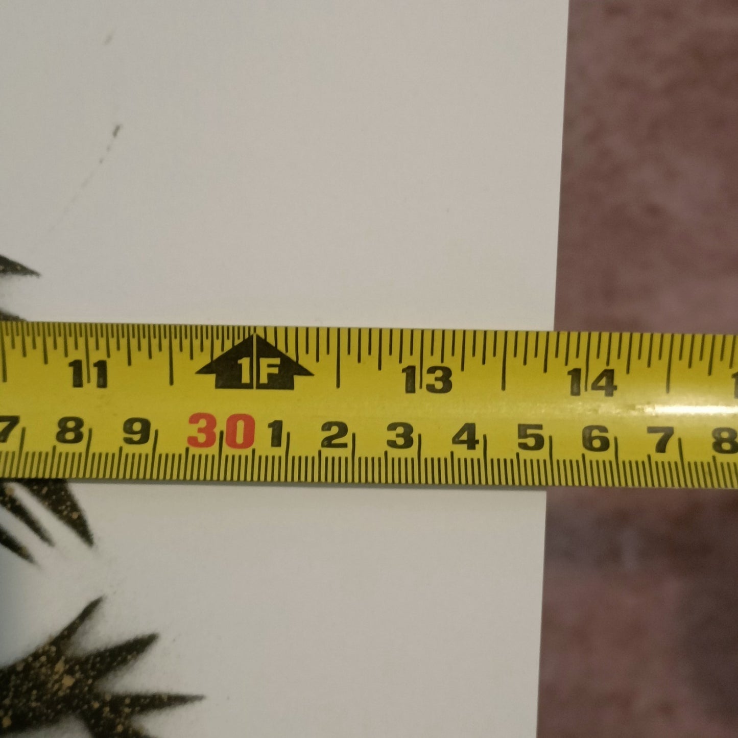 PURE EVIL Signed Art Car Boot Fair Ozzy Osbourne Master of Reality 1/1