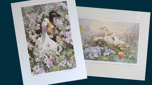 Trevor Waugh Watercolour Ducks, Limited Edition Prints, Lot of 2 Pictures