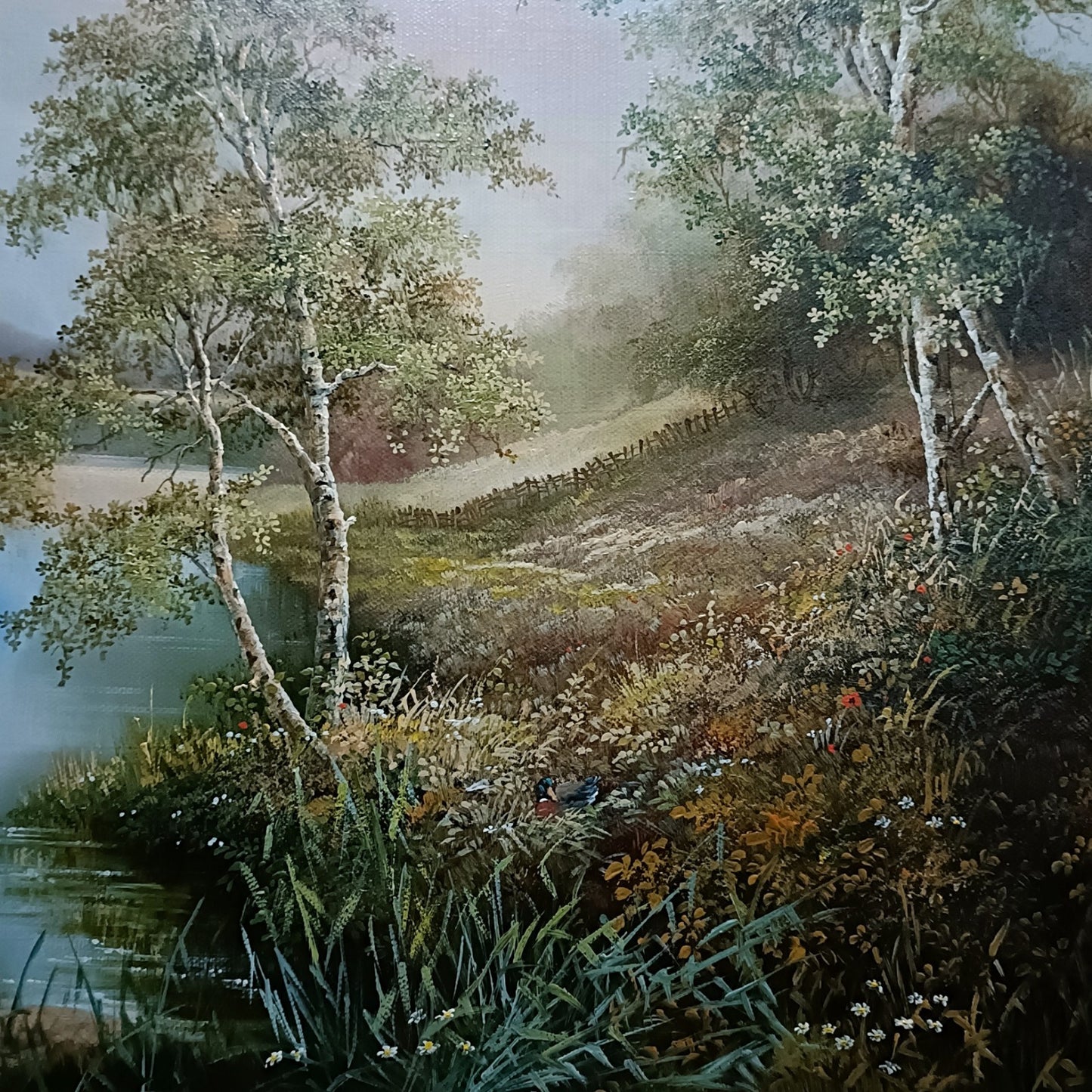 NOËL RIPLEY (b.1944) Signed Framed Original Oil Painting River and Birch Trees