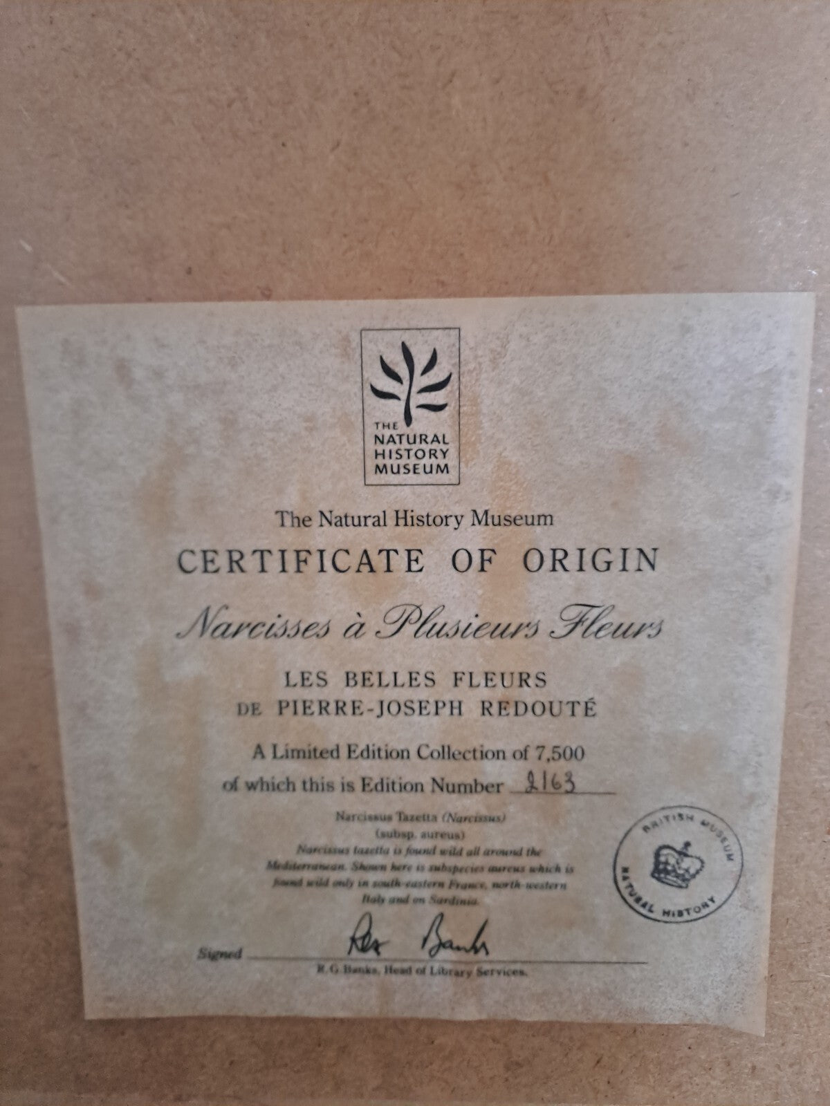 6 X Natural History Museum  Limited Print :The Fairest Flowers of Pierre Redoute