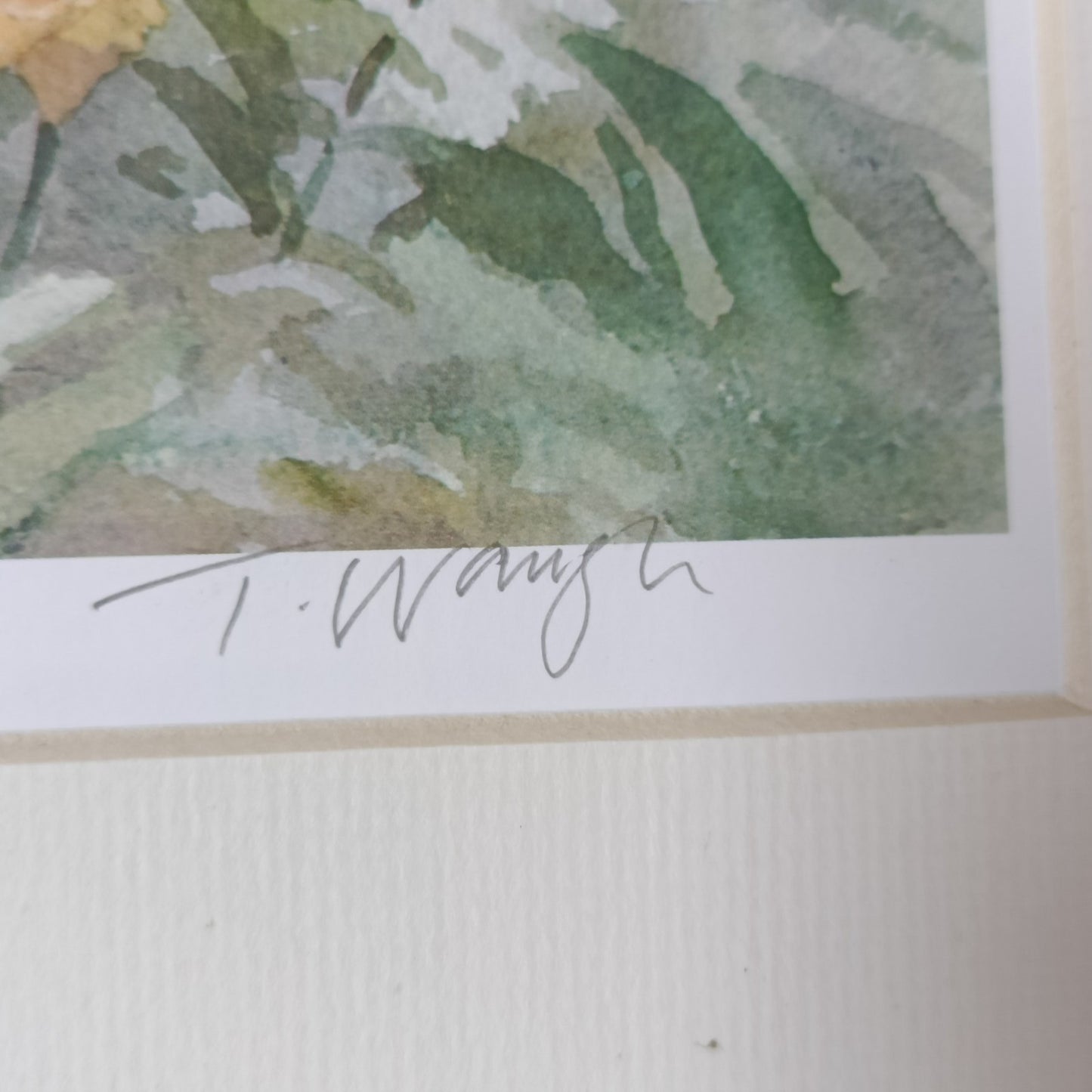 Trevor Waugh Watercolour Ducks, Limited Edition Prints, Lot of 2 Pictures