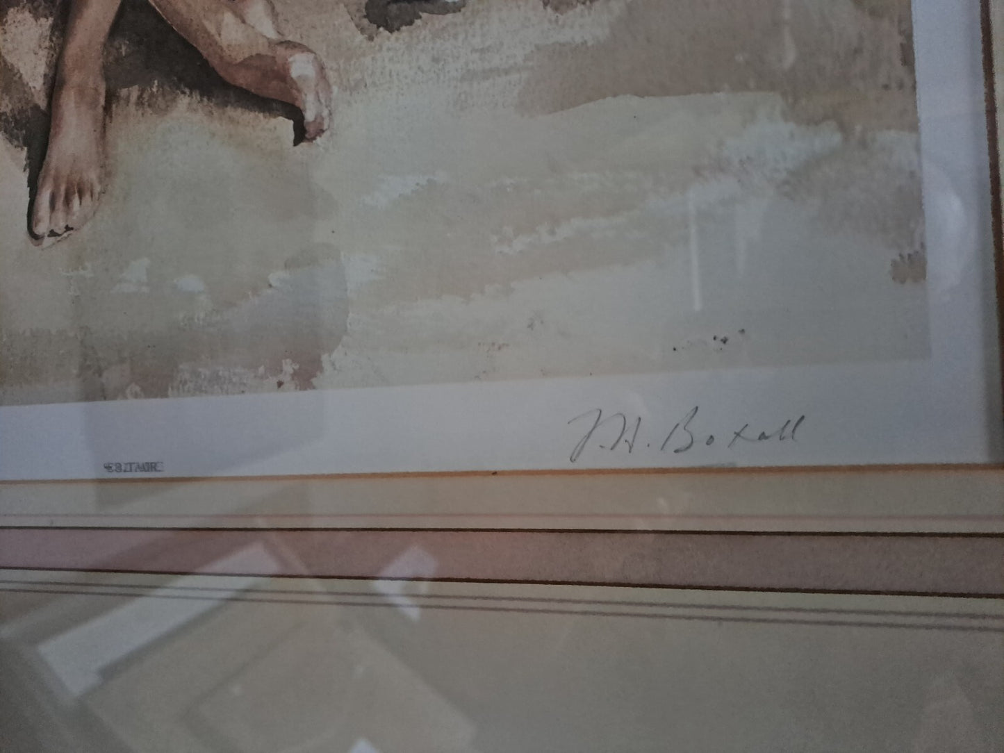FRANCIS BOXALL Signed Limited Edition "Solitaire " Framed and Glazed 159/850