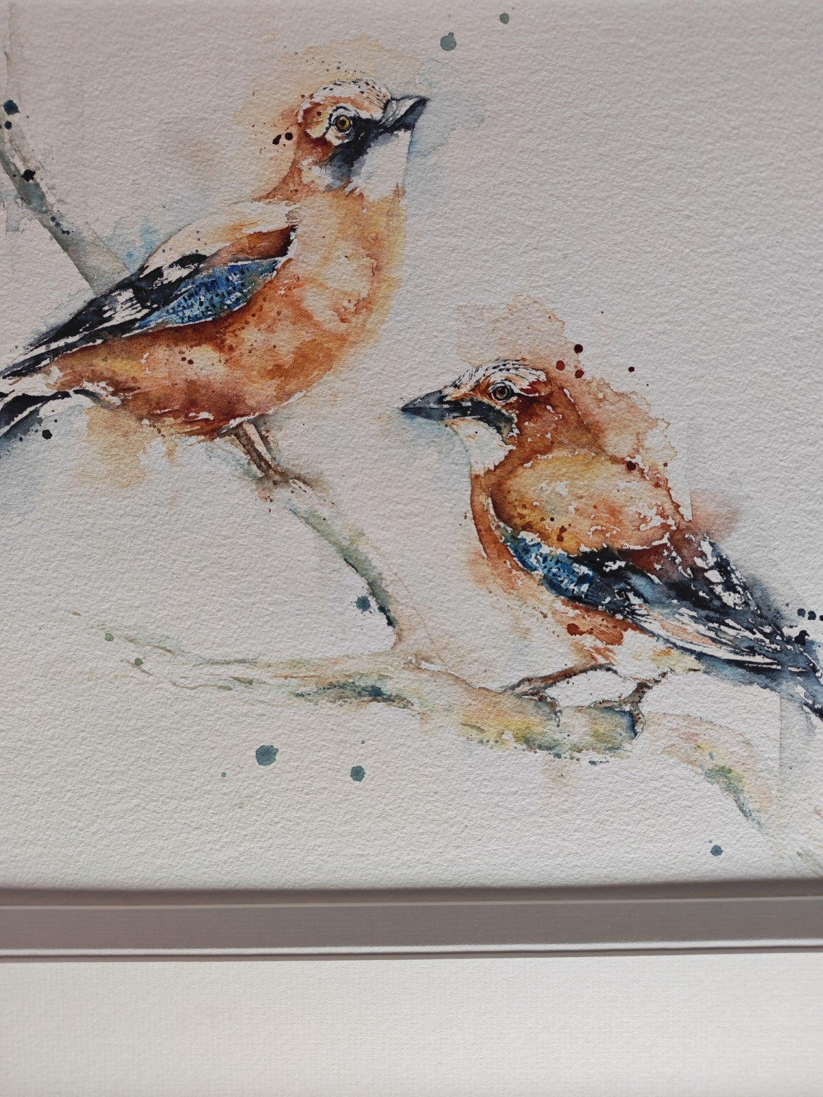 AMANDA GORDON "Jewels of the wood - Two Jays" Original Watercolour Painting