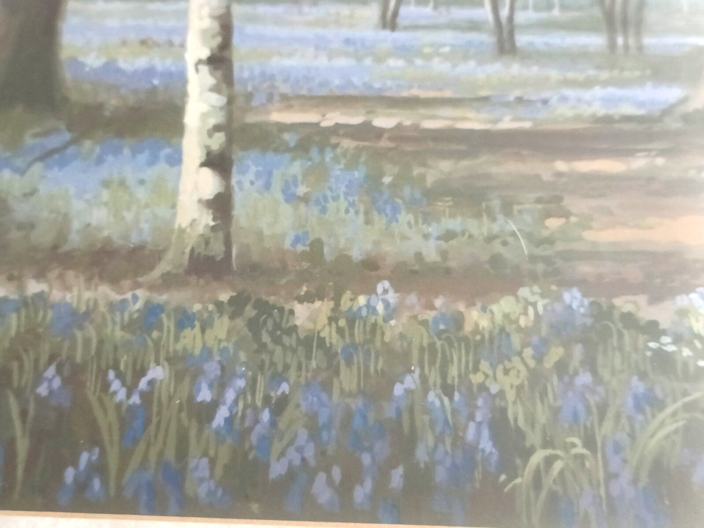 PATRICIA FORREST Original Watercolour "Deer in Bluebell wood"