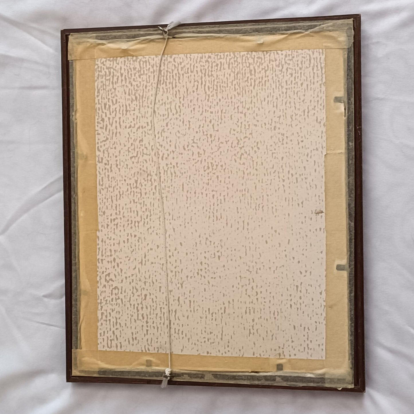 Vintage V. De Beauvoir Ward print, Framed "A Rare Specimen"