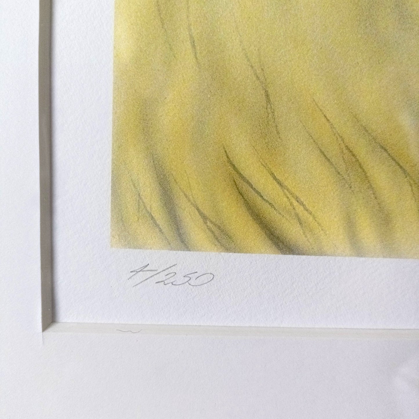 JOANNA MAY Signed Limited Edition "Broadtown Hare" 4/250