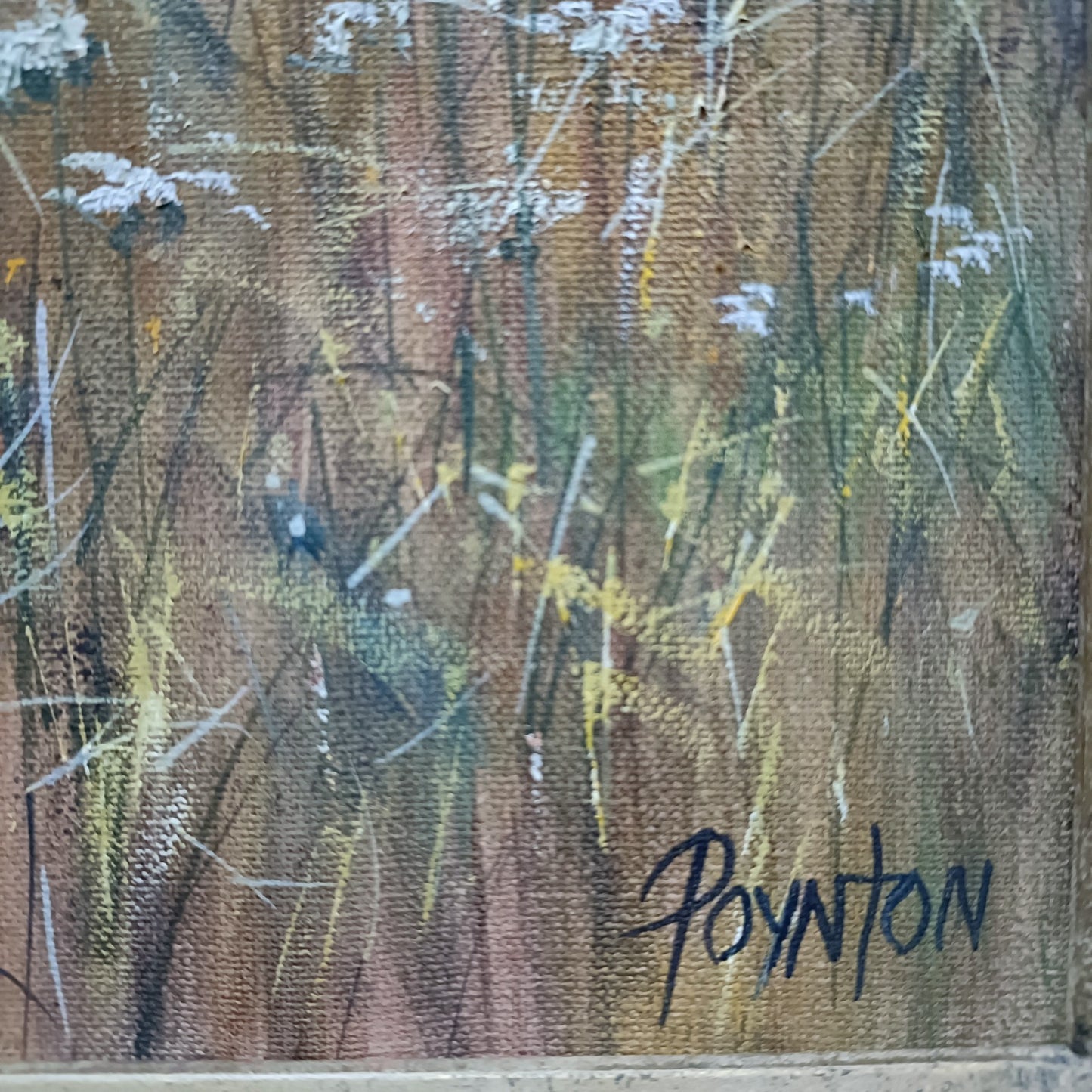 DEBORAH POYNTON Large Signed Framed Original Oil Painting - Poppy Fields