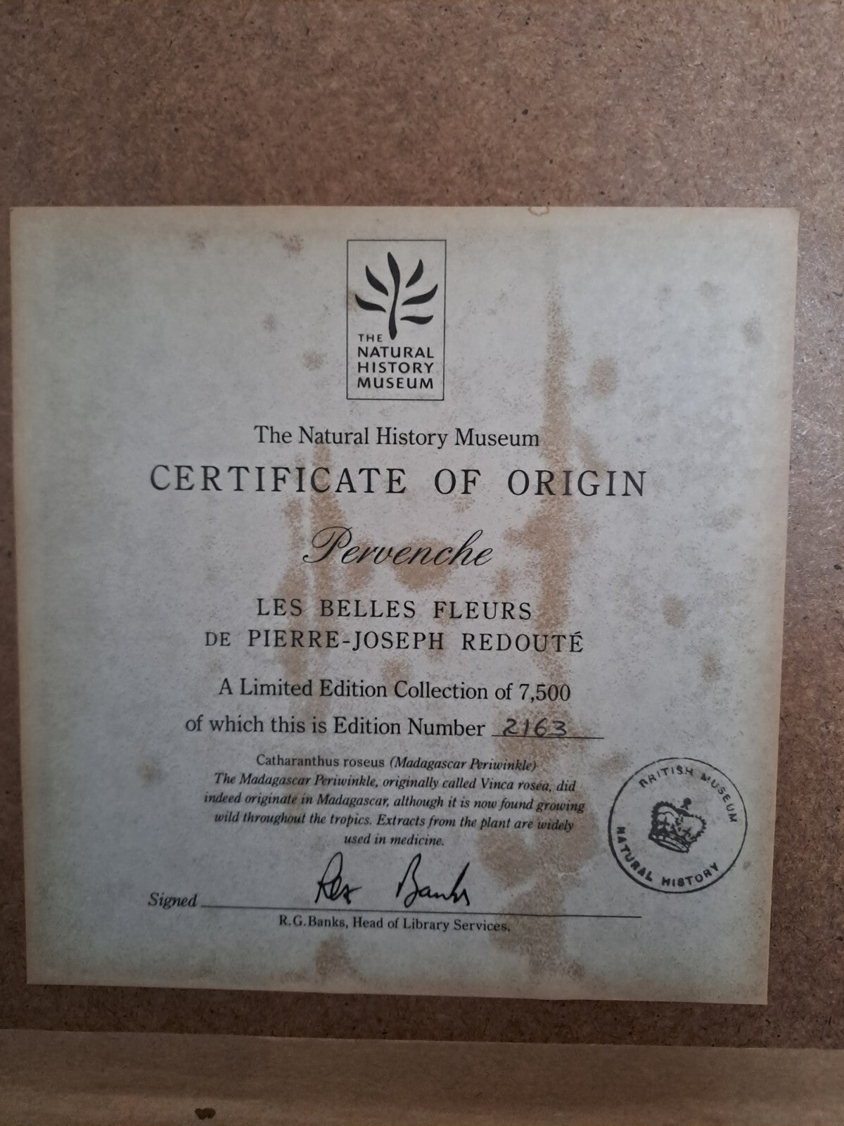 6 X Natural History Museum  Limited Print :The Fairest Flowers of Pierre Redoute