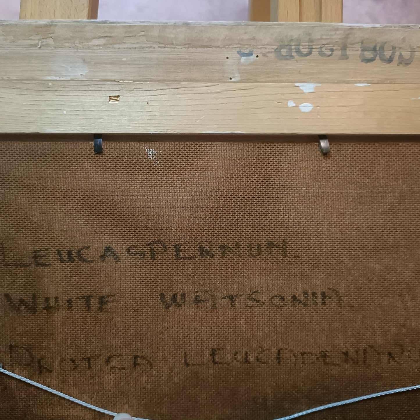 JOHN ROSS ROBERTS Framed Original Oil Painting "Protea"